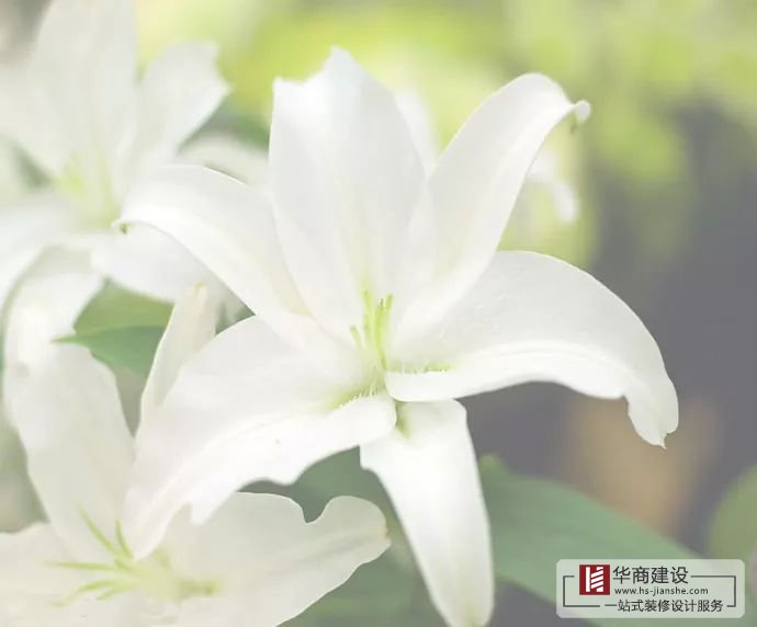 裝修不將就，廣州大型公裝家裝公司更注重細(xì)節(jié)